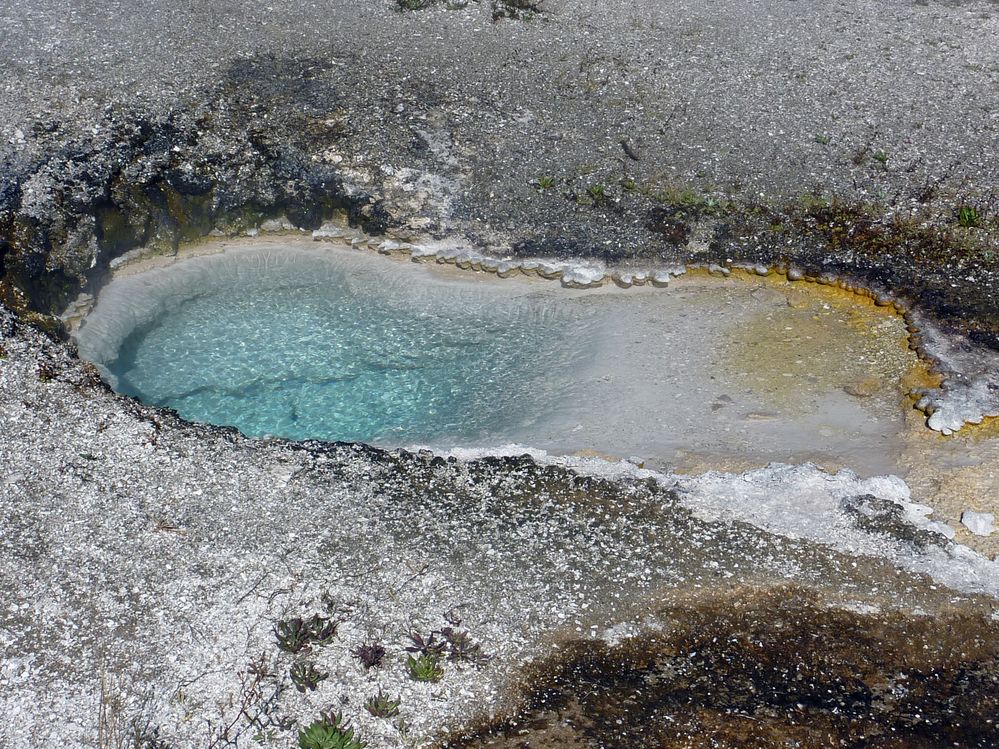 Yellowstone Old faithfull et ses environs (148).JPG